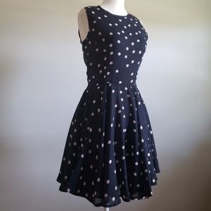 Polka Dot Fit and Flare Dress